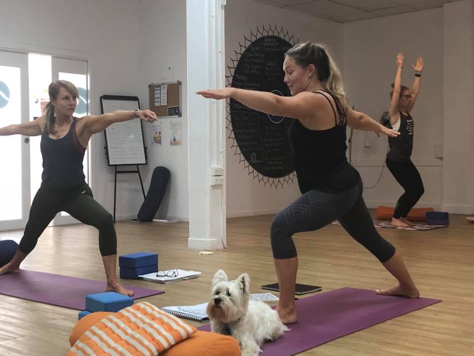 Read more about the article How Yoga & Mindfulness Teacher Training Helps you Find Courage Self Worth and Connection