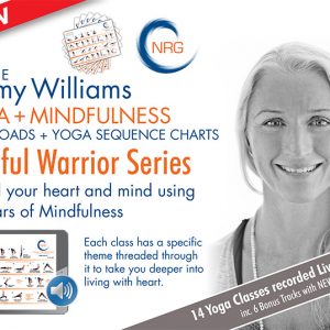 THE MINDFUL WARRIOR SERIES