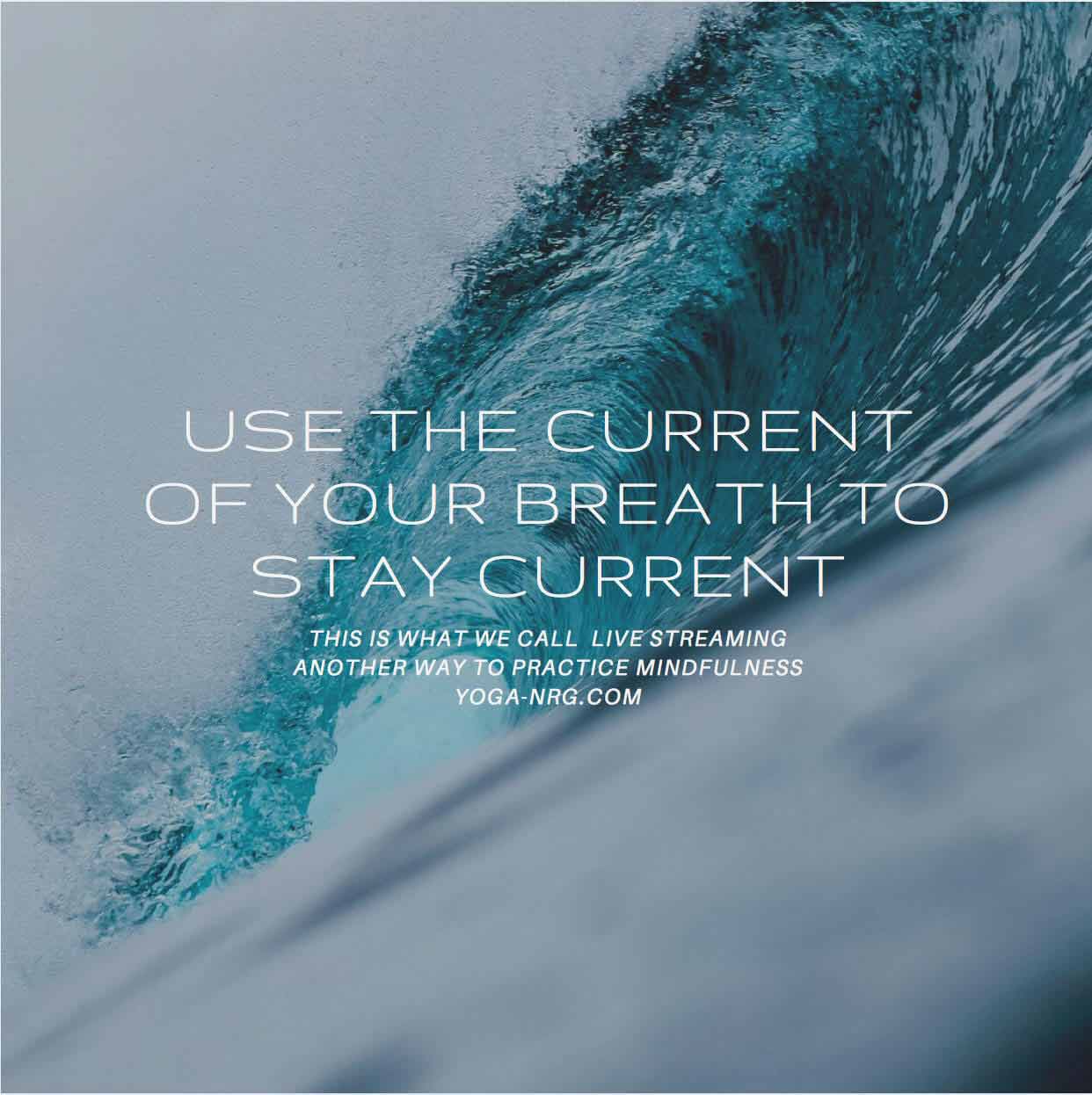 Read more about the article Mindfulness of Staying Current is like Surfing by Tammy Williams
